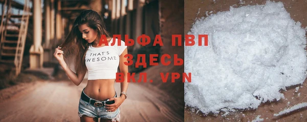 шишки Белокуриха