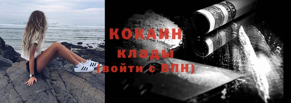 шишки Белокуриха