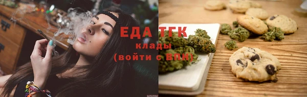 шишки Белокуриха