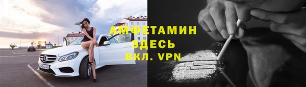 шишки Белокуриха