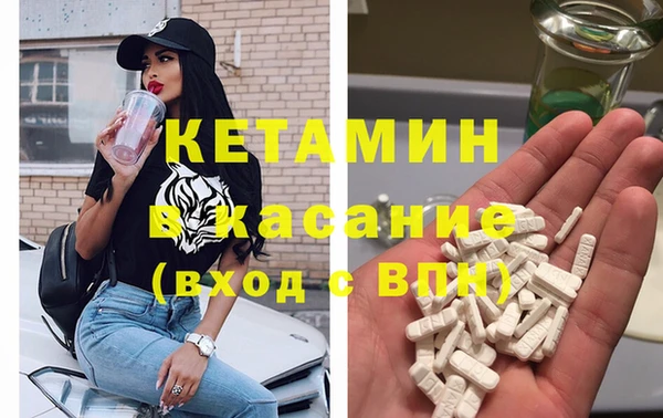 шишки Белокуриха