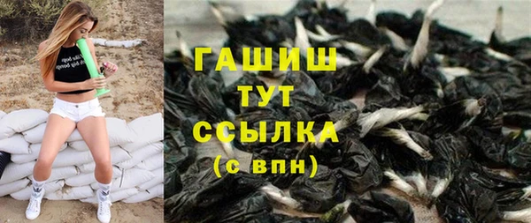 шишки Белокуриха