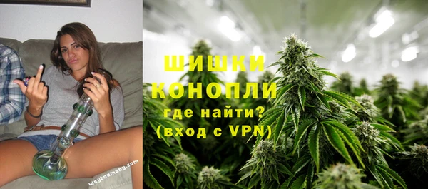 шишки Белокуриха