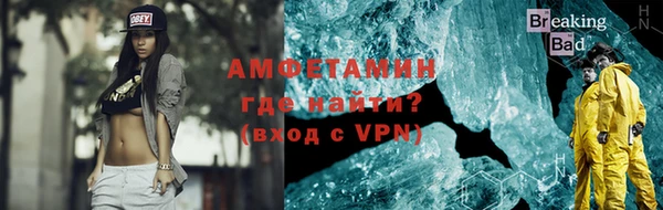 шишки Белокуриха