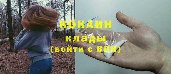 шишки Белокуриха