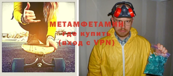 шишки Белокуриха
