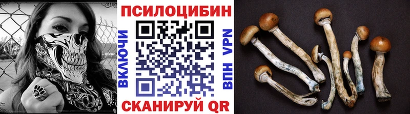наркошоп  Первомайск  Галлюциногенные грибы Psilocybe 
